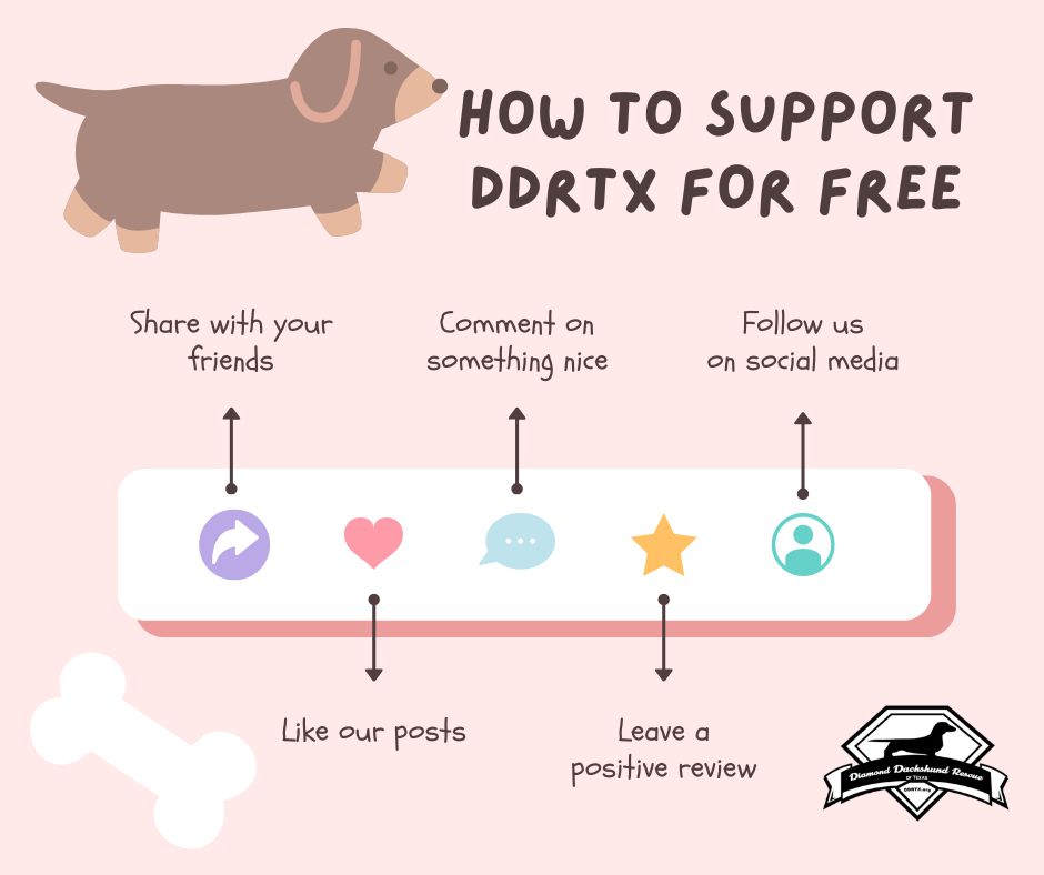 How to Support DDRTX on Social Media