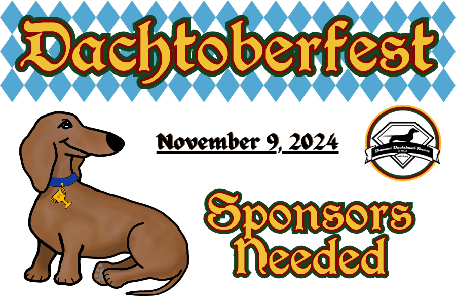 We’re Looking For Dachtoberfest Sponsors!