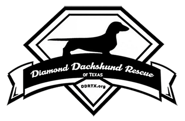 Diamond Dachshund Rescue of Texas