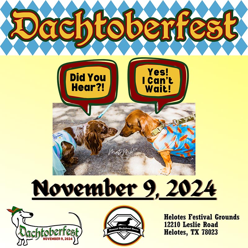 Dachtoberfest – Save the Date