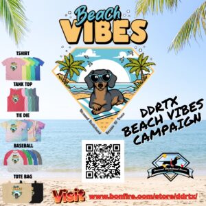 Bonfire-Beach Vibes