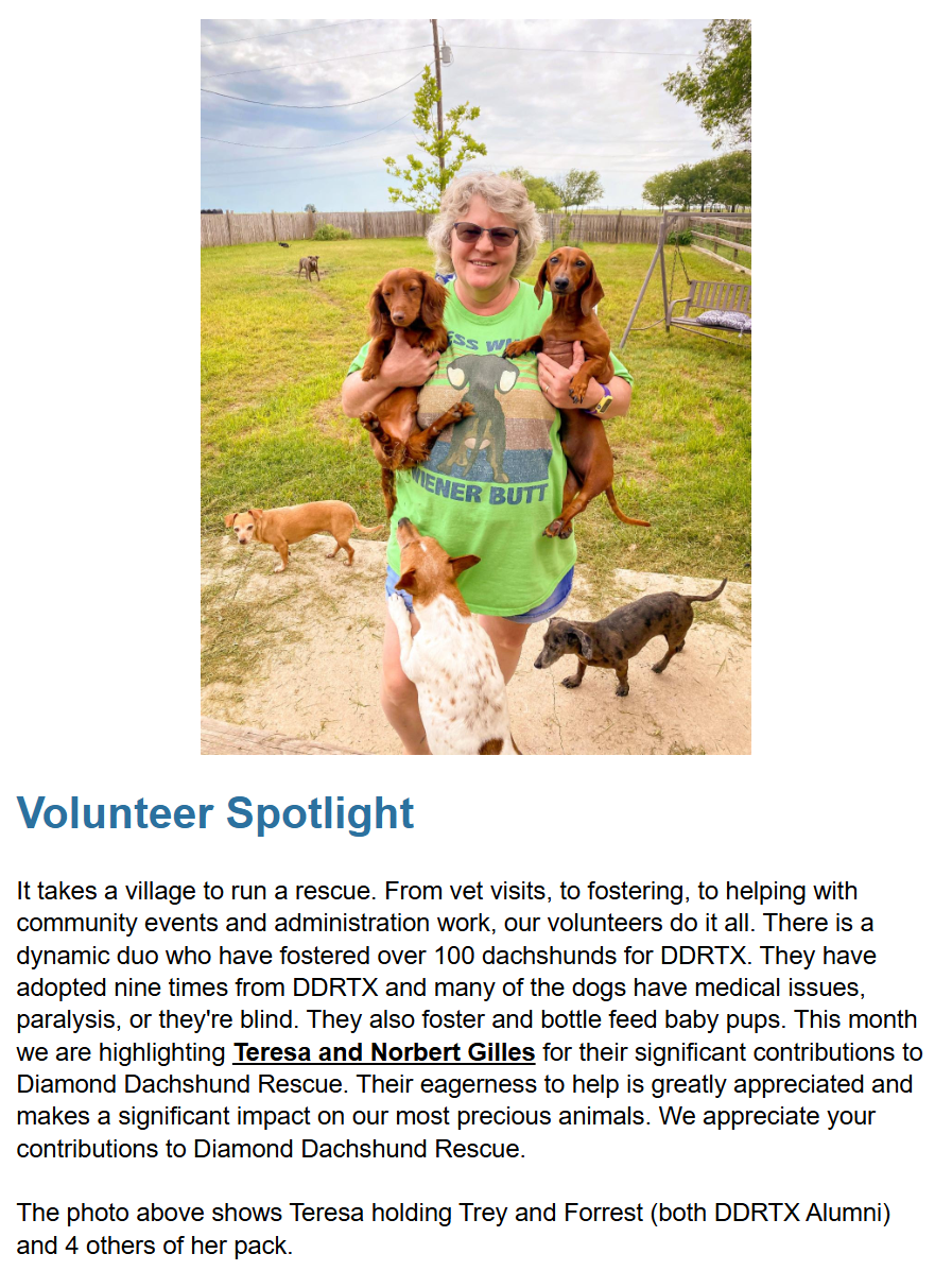 Newsletter Volunteer Spotlight featuring Teresa and Norbert Giles. Picture shows Teresa holding Trey and Forrest both DDRTX Alumni with 4 others of her pack roaming the yard.