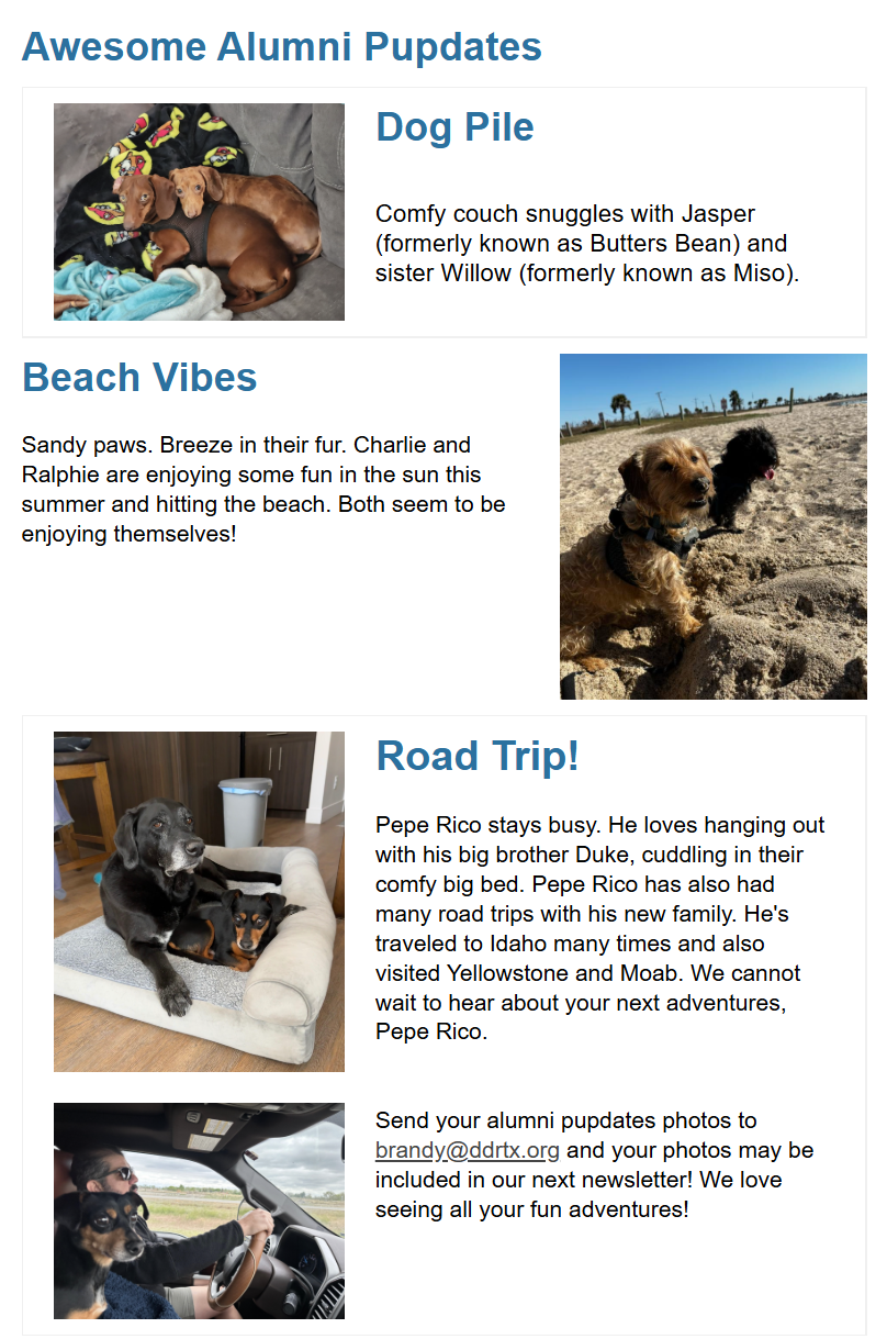 Newsletter Awesome Alumni Pupdates: Dog Pile Jasper formerly known as Butter Bean and Willow formerly known as Miso. Beach Vibes featuring Charlie and Ralphie. Road Trip featuring Pepe Rico and Duke