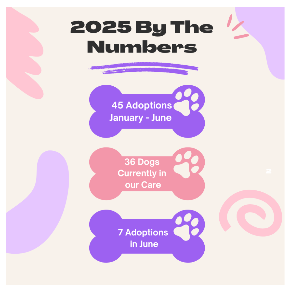 2025 By The Numbers information for DDRTX. 45 adoptions from January through June, 36 dogs currently in foster care, 7 adoptions in June