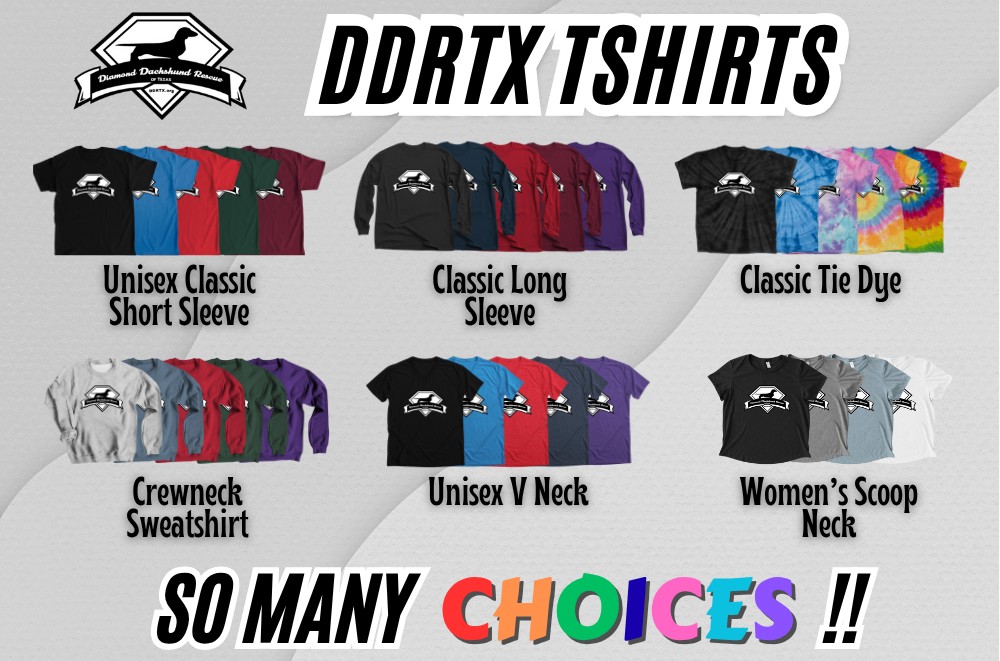 Visit our Bonfire store to purchase DDRTX Tshirts