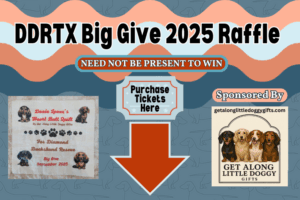 DDRTX Big Give Raffle 2025 Graphic - Purchase Tickets Here 